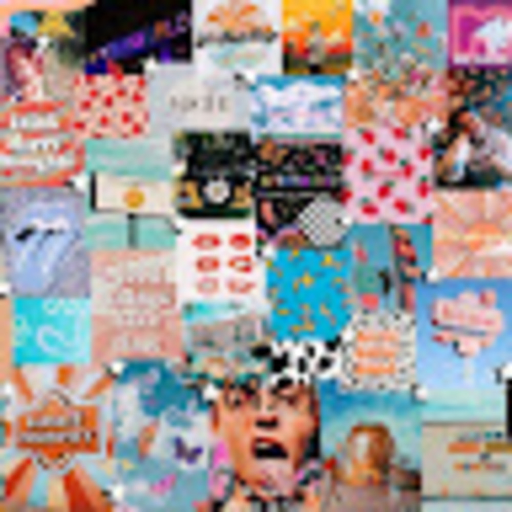 Meet your Posher, Dani